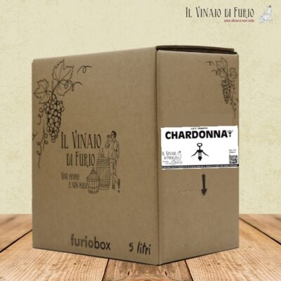 I.G.T. VENETO CHARDONNAY VOL 11%